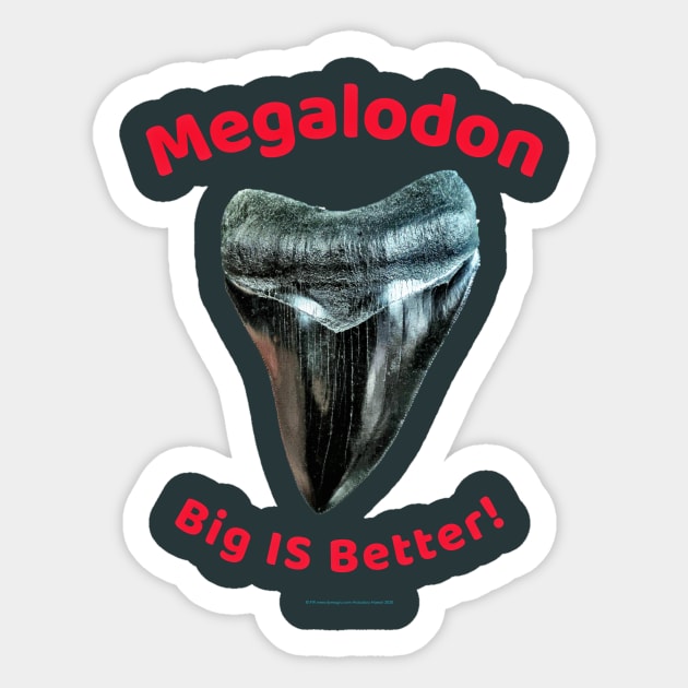 Megalodon Collectors - Big Is Better! Sticker by LeftBrainExpress